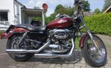 Harley-Davidson Sportster 1200 Custom - HARLEY-DAVIDSON 2008 SPORTSTER 1200