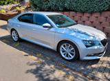 Skoda SKODA SUPERB - Skoda Superb in Mainz