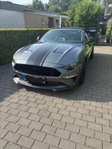 Ford Mustang 5.0  V8 GT Auto GT, Garantie, MagneRide - gebrauchte Ford Mustang aus dem Jahr 2023