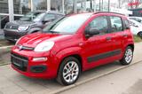 Fiat Panda  Automatik*Klima*PDC*I Hand* - Fiat Panda mit Benzin-Antrieb: Automatik