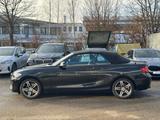 BMW 220i Cabrio Sport Xenon Navi Leder HiFi 17" - BMW 220: I