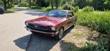 Ford Mustang 2-Door-Hardtop, 65A (Oldtimer) - Ford Mustang: Old