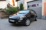 Fiat Punto YOUNG II Top Zustand TÜV/Service neu - Fiat Punto mit Benzin-Antrieb: Young