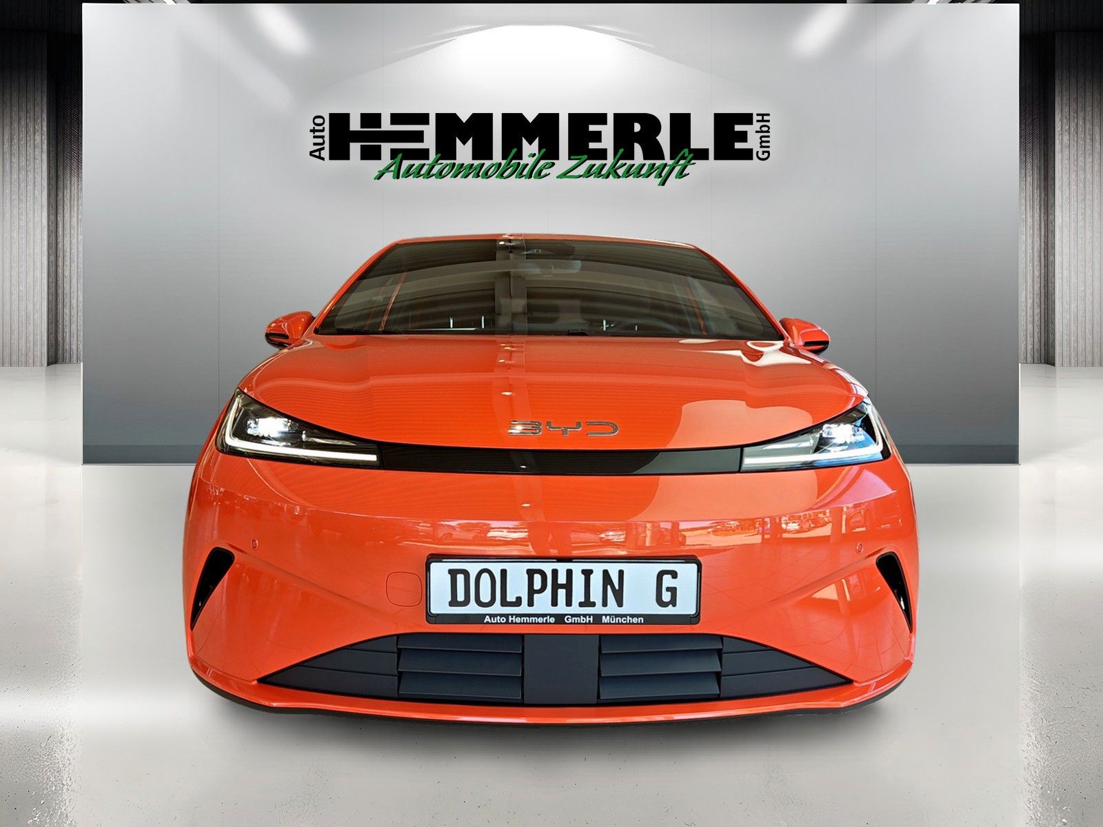 BYD DOLPHIN