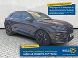 Cupra Terramar 1.5 eTSI DSG / Edge Paket / 19Zoll - Cupra Terramar Tageszulassungen