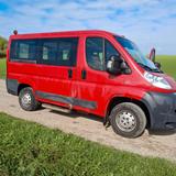 Fiat Ducato - rote Fiat Ducato