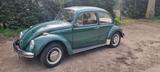 Volkswagen Käfer Baujahr 68 -Originallack  - Volkswagen Käfer: Grün