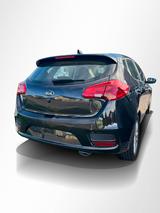 Kia Ceed Edition 7 1.4 CVVT/RFK/SHZ/NAVI/CARPLAY - Kia cee'd / Ceed: Kleinwagen