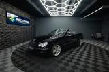 Mercedes-Benz CLK 500 V8 Cabrio AMG Avantgarde LPG *Facelift* - Mercedes-Benz: Cabrio, Clk AMG