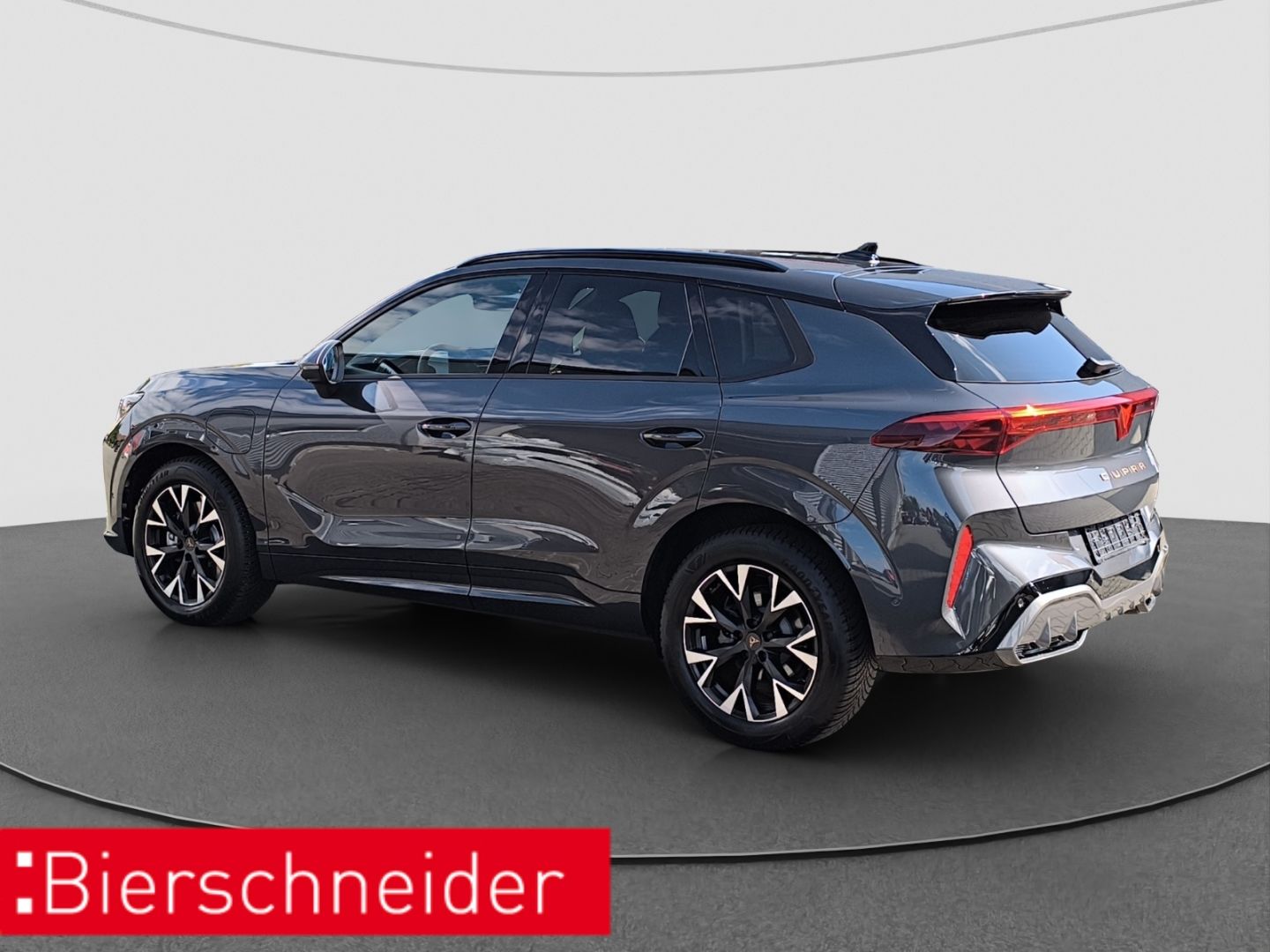 Cupra Terramar - Bild 6