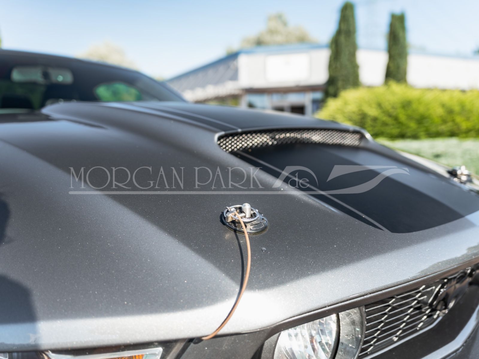 Fahrzeugabbildung Ford Mustang GT *Neidfaktor+480PS*