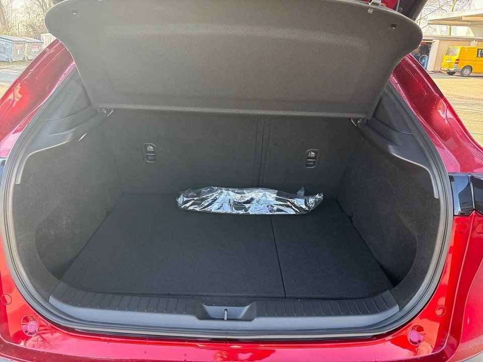 Fahrzeugabbildung Mazda CX-30 X 2.0i 186PS A/T AWD Homura