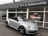 Volkswagen Beetle 1.8 Cabrio Automatik Design Edition - Volkswagen Beetle: Cabrio