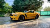 Ford Boss 302 Mustang  - Ford Mustang: Boss