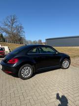 Volkswagen Beetle Design Automatik Fender - Volkswagen Beetle mit Benzin-Antrieb: Limousine, Automatik