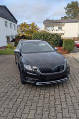 Skoda Octavia 2.0 TDI DSG 4x4 Scout Combi Scout - Skoda: Combi Scout