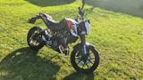 KTM Duke 125ccm - Offers matching your search criteria