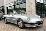 Alfa Romeo ALFA ROMEO Spider 2.0 - Alfa Romeo aus 1986