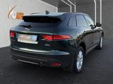 Jaguar F-Pace Portfolio AWD+LED+ACC+PANO+STHZ+BLACKPACK - Jaguar: Grün