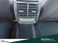 Skoda Kamiq - Vorschau Bild 23