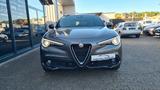 Alfa Romeo Stelvio 2.2 D Super AT8 - PANO - ASSISTS -20 ALU - Alfa Romeo Stelvio in Frankfurt (Main)