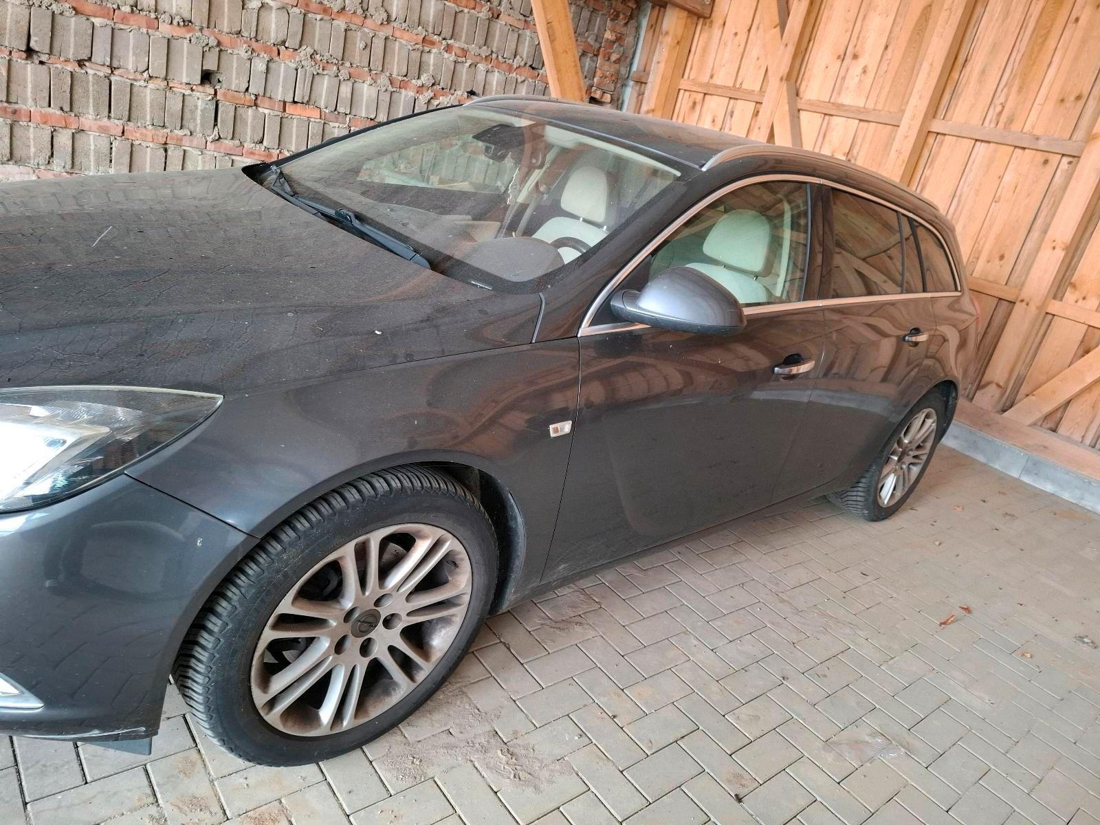 Opel Insignia 2010 — rear view