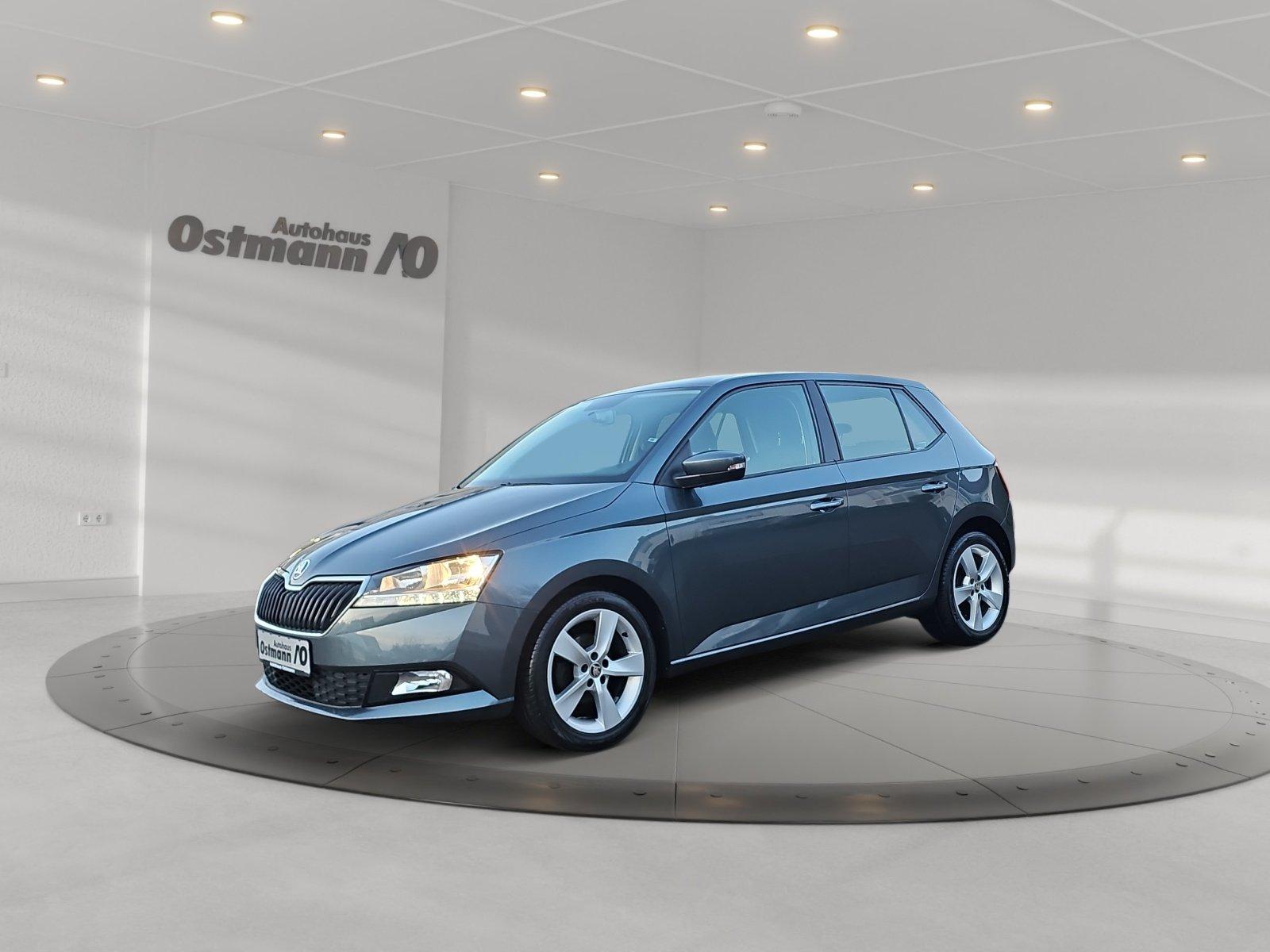 Skoda Fabia 1.0 TSI Cool Plus Facelift LM PDC SHZ