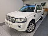 Land Rover Freelander Freelander 2.2 SD4 S.W. HS - Land Rover Freelander: Sd4