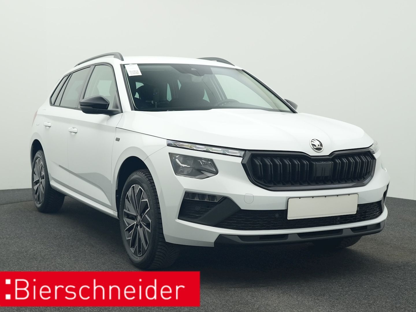 Skoda Kamiq - Bild 9
