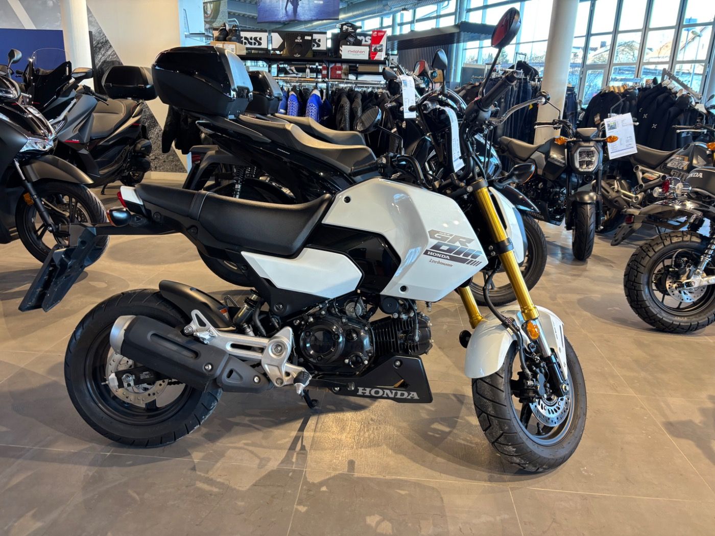 Fahrzeugabbildung Honda MSX 125 Grom 2025