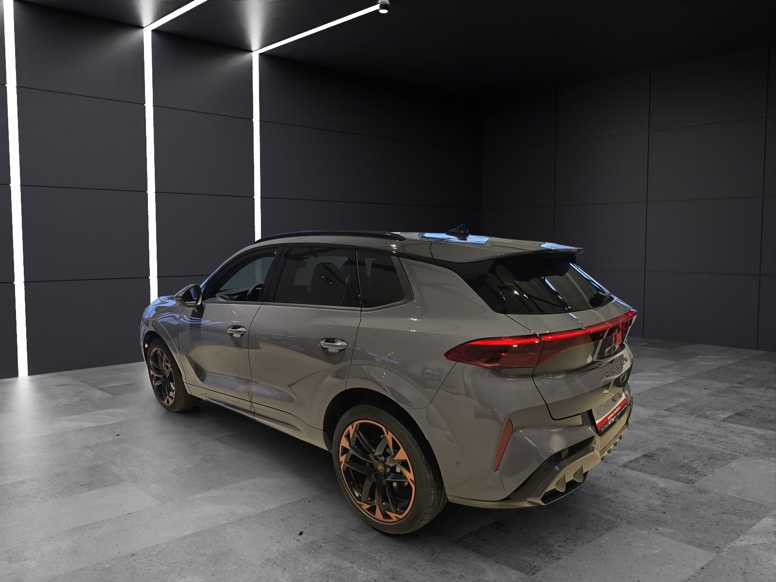 Fahrzeugabbildung CUPRA Terramar 2.0 TSI DSG 4Drive America's Cup Limite