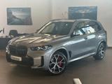 BMW X5 xDrive30d M Sportpaket Innovationsp. Panorama - BMW X5 in Duisburg