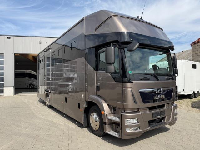 MAN 15.290 TGM, 5 Pferde, Pop Out