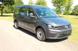 Volkswagen CADDY MAXI 7 SITZER,DSG, KLIMA, 8FACH, WENIG KM - 8 Sitzer gebraucht