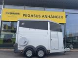 Ifor Williams HBX511 2-Pferdeanhänger Vollalu 2,7t DS-Klappe - Ifor Williams LKWs