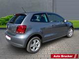 Volkswagen Polo V Life 1.2 TSI+DSG+BI-Xenon+Klimatronic+Sit - Volkswagen Polo: 1.2