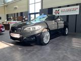 BMW 218d M-Sportpaket 2-Hand LED ALU NAVI GARANTIE - BMW mit Diesel-Antrieb: Cabrio