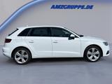 Audi A3 Sportback 1.4 TFSI Ambition PDC+Xenon+Winterp - Audi A3: TFSI