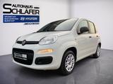 Fiat Panda 1.2 8V Easy Klima - Fiat Panda: Easy
