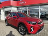 Kia Stonic 1.0 T-GDI OPF Mild Hybrid Platinum - Kia Stonic mit Panoramadach