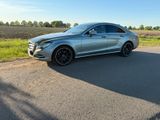 Mercedes-Benz Mercedes Cls 250 CDI Elegance - Mercedes-Benz CLS 250: Coupé
