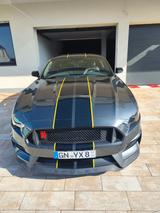 Ford Mustang Performance Shelby GT - Ford Mustang: Performance