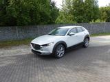 Mazda CX-30  2.5L 140PS Centre-Line Automatik - Mazda CX-30 Centre-line mit Hybrid-Antrieb (Benzin/Elektro)