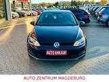 Volkswagen Golf VII Lim. ALLSTAR*NAV*SITZHZG*ALU - Volkswagen: Allstar
