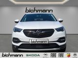 Opel Grandland Dynamic Navi Ergositze LED 19'' el.Hec - Opel Grandland (X) aus 2017