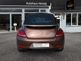 Volkswagen BEETLE CABRIO 2.0 TDI Allstar Plus Automatik - Volkswagen Beetle: Auto
