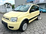 Fiat Panda 1.2 8V Climbing 4X4 *1.Hand+AHK+Allrad* - Fiat Panda: Allradantrieb, Climbing