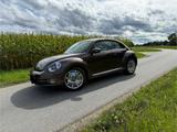 Volkswagen Beetle - Wunderschöner Hingucker in T
