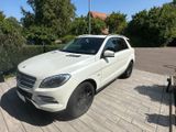 Mercedes-Benz ML 250 BlueTEC 4MATIC - - Mercedes-Benz ML 250 mit Diesel-Antrieb