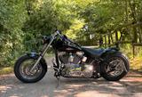 Harley-Davidson Softail  - HARLEY-DAVIDSON 2002 SOFTAIL